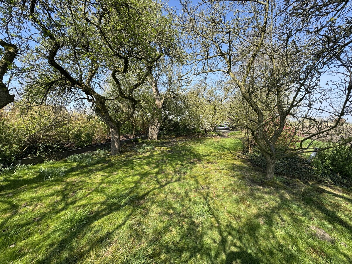 Gartenbereich Gartenbereich - Objekt 9800