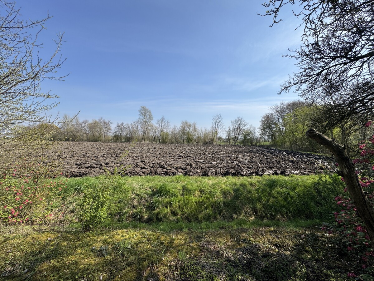 Ansicht aufs Feld Ansicht aufs Feld - Objekt 9800