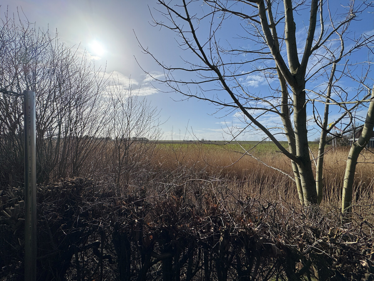 Blick zum Deich Blick zum Deich - Objekt 9823