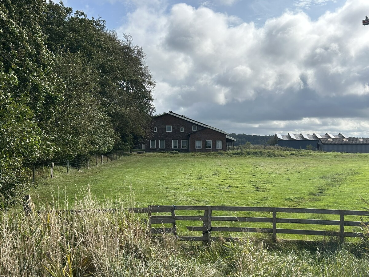 Ansicht Straße - Objekt 9853