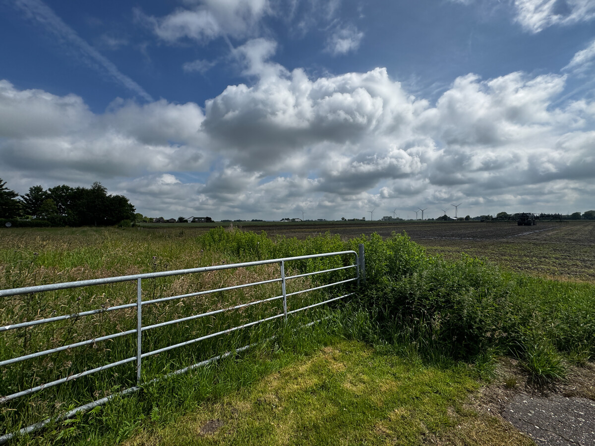 Blick auf Feld - Objekt 9784